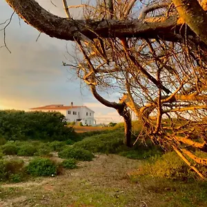 Il Canneto Arborea